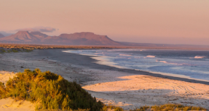 Las 5 mejores playas de Baja California que debes visitar Las 5 mejores playas de Baja California que debes visitar