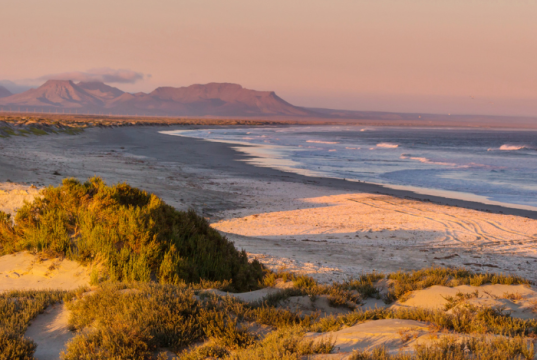 Las 5 mejores playas de Baja California que debes visitar Las 5 mejores playas de Baja California que debes visitar