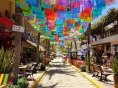 Playas de Sayulita que tienes que conocer Playas de Sayulita