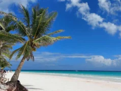 Playa El Paraíso ¡Visíta esta playa de Tulum! Playa Paraíso de Tulum