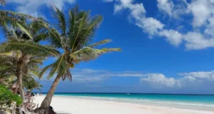 Playa El Paraíso ¡Visíta esta playa de Tulum! Playa Paraíso de Tulum