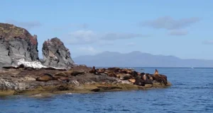 13 Playas de Loreto Que Debes Conocer Playas de Loreto