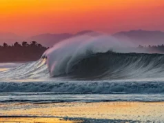 Las Playas de Armería en Colima Playas de Armería