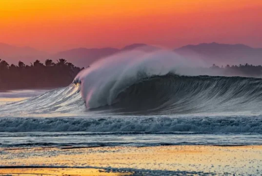 Las Playas de Armería en Colima Playas de Armería