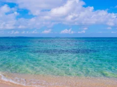 Playas de Boca del Río: el destino costero favorito de Veracruz Playas de Boca del Río