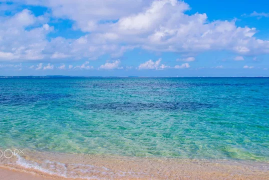 Playas de Boca del Río: el destino costero favorito de Veracruz Playas de Boca del Río