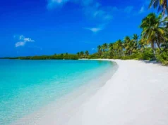 Playas de Isla Contoy: Un refugio natural frente a la Riviera Maya Playas de Isla Contoy