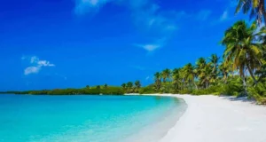 Playas de Isla Contoy: Un refugio natural frente a la Riviera Maya Playas de Isla Contoy