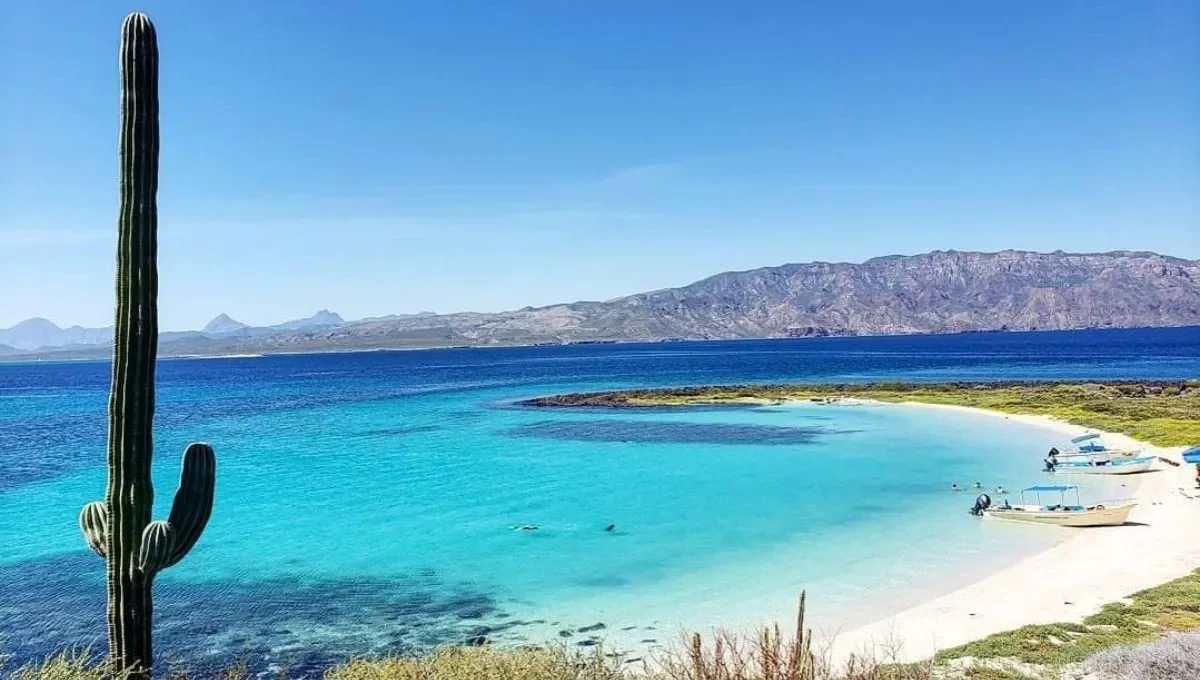 Playas de Isla Coronado Playas de Isla Coronado