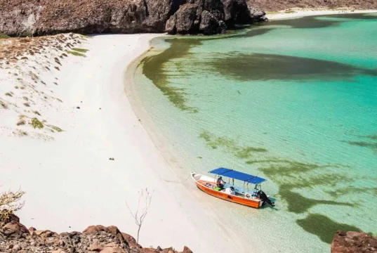 Playas de Isla Espíritu Santo: El paraíso natural de La Paz Playas de Isla Espíritu Santo