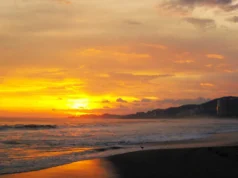 Playas de Playa Larga: El secreto mejor guardado de Zihuatanejo Playas de Playa Larga Zihuatanejo