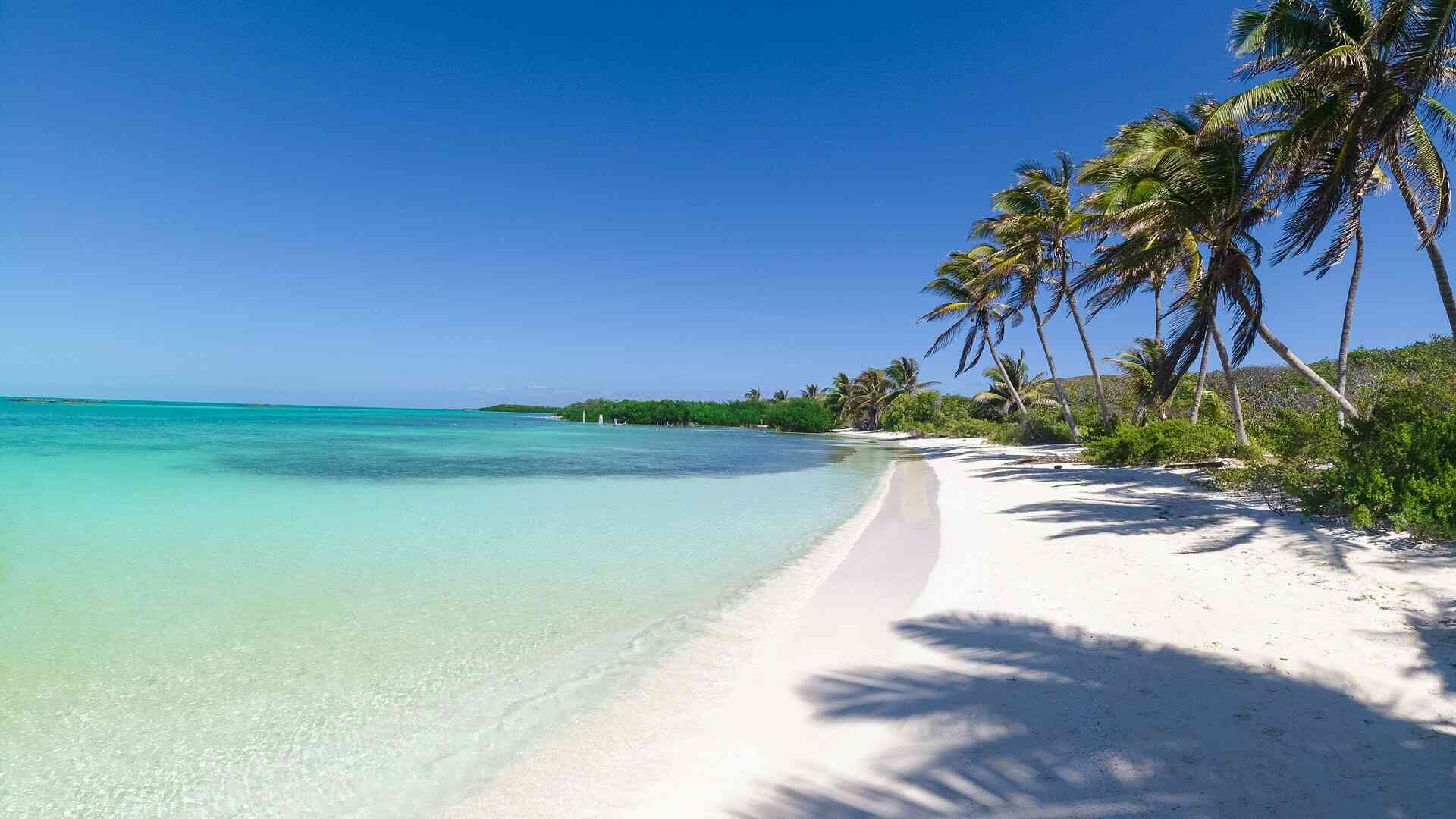 Playas de Punta Allen Playas de Punta Allen