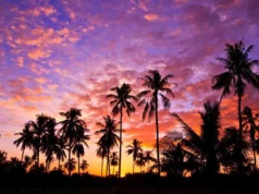 Playas de Tecomán: El encanto del Pacífico colimense Playas de Tecoman