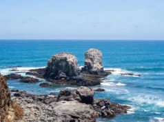 Las Playas de Punta Lobos en Baja California Sur playas de punta de lobos