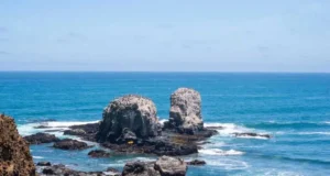 Las Playas de Punta Lobos en Baja California Sur playas de punta de lobos